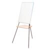 Мольберт односторонний для письма маркером