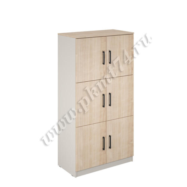 Шкаф с индивидуальными ячейками МТ 14-25 Тэффи-Клен закрытый